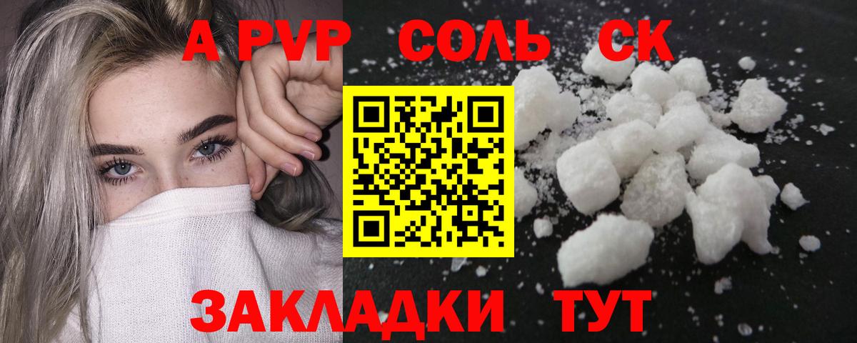 Альфа ПВП СК Грозный