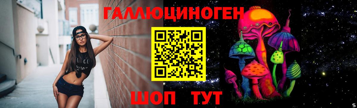 Псилоцибиновые грибы мицелий  Вход с VPN  Грозный 